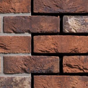 Płytka Hoevesteen DF